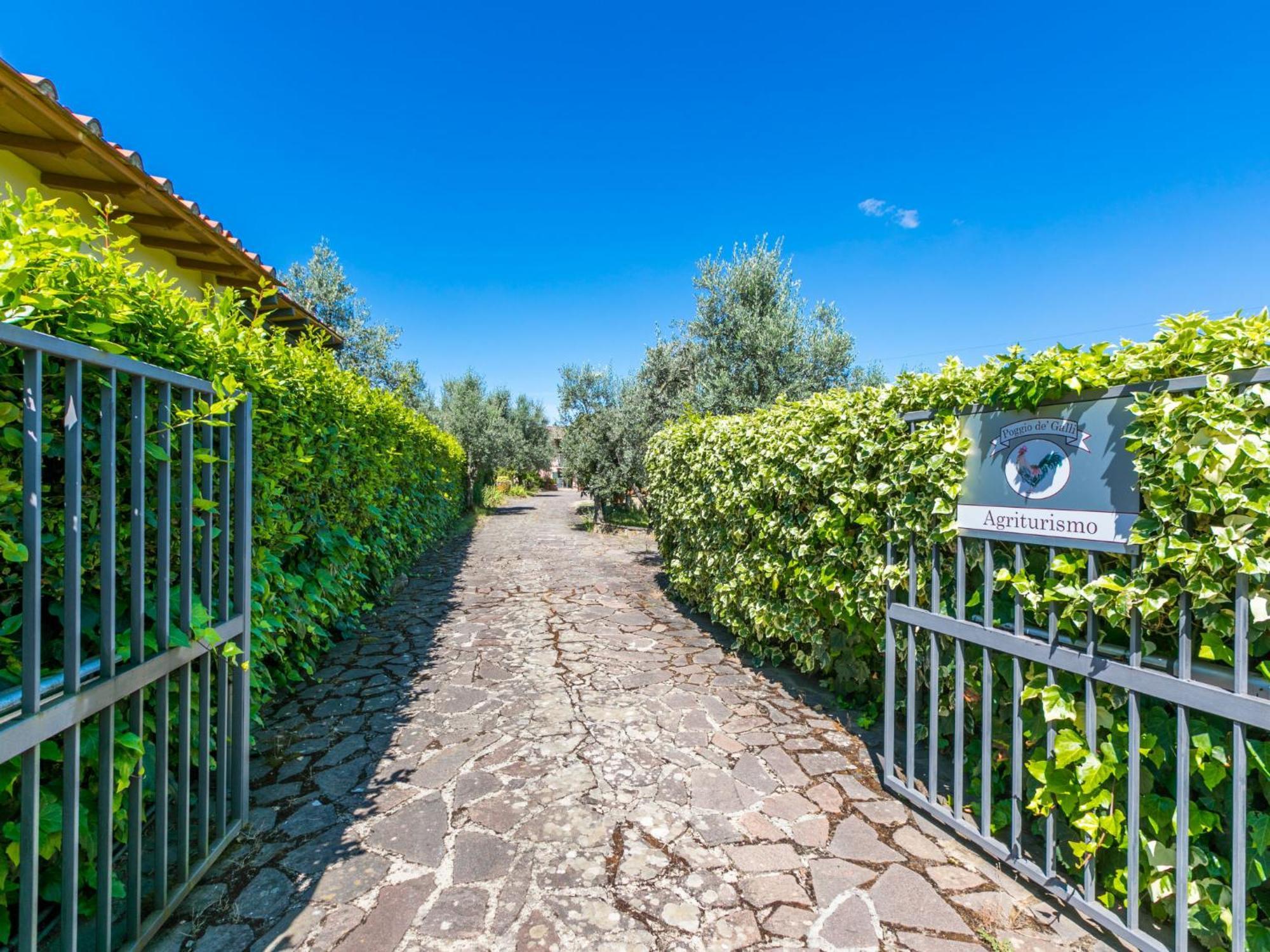 Holiday Home Poggio De'Galli By Interhome Pozzolatico エクステリア 写真