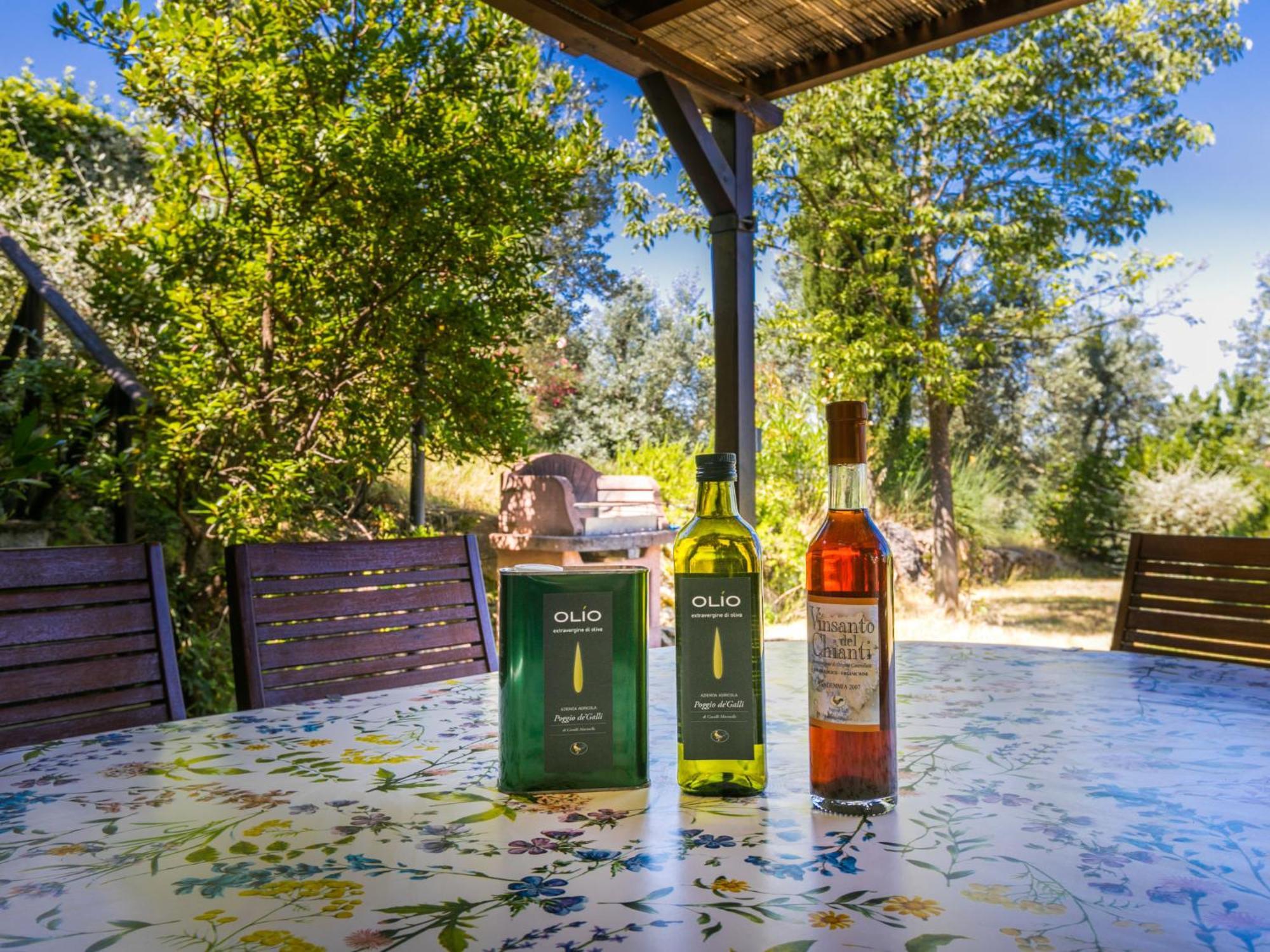 Holiday Home Poggio De'Galli By Interhome Pozzolatico エクステリア 写真